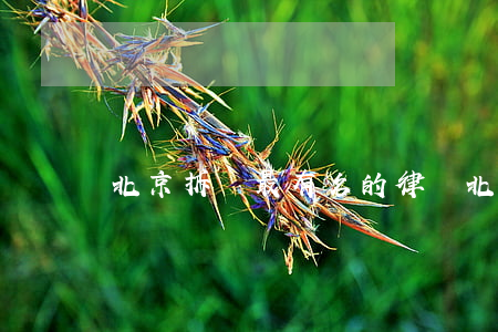 北京拆遷最有名的律師(北京著名的拆遷律師)