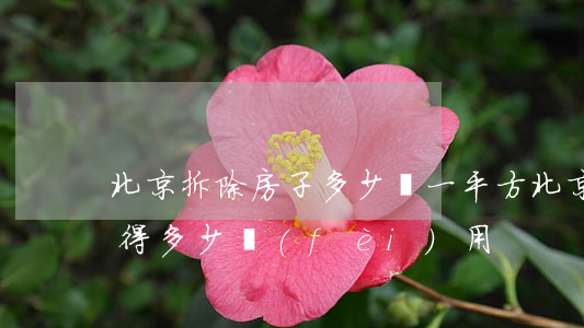 北京拆除房子多少錢一平方(北京二手房拆除得多少費(fèi)用)
