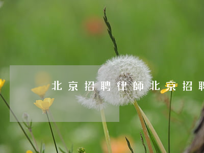 北京招聘律師(北京招聘律師合伙人)