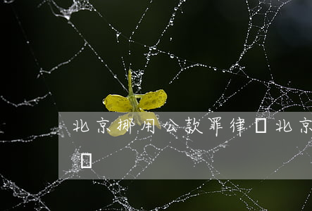北京挪用公款罪律師(北京挪用公款罪律師咨詢)
