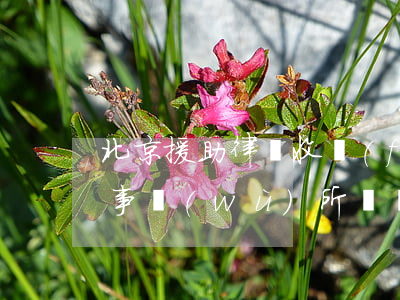 北京援助律師收費(fèi)(北京援助律師事務(wù)所電話)