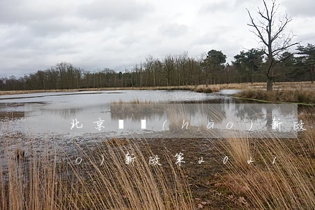 北京搖號(hào)新政策(北京搖號(hào)新政策2021)