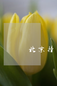 北京撞死人賠多少錢