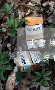 北京擁堵費(fèi)(北京擁堵費(fèi)按住址收嗎?)