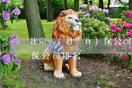 北京擔(dān)保公司(北京擔(dān)保公司排名)