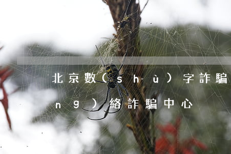 北京數(shù)字詐騙律師(北京網(wǎng)絡詐騙中心)