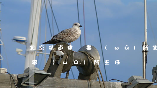 北京斌道律師事務(wù)所(北京斌道律師事務(wù)所主任)