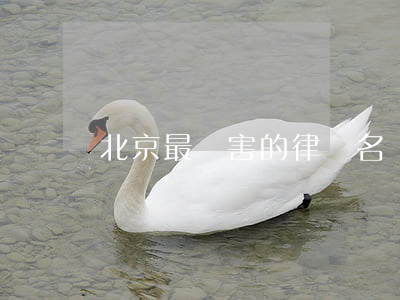 北京最厲害的律師名單(北京有名律師榜單)