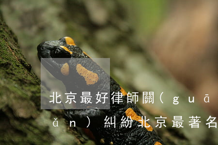 北京最好律師關(guān)于房產(chǎn)糾紛(北京最著名的房產(chǎn)律師)