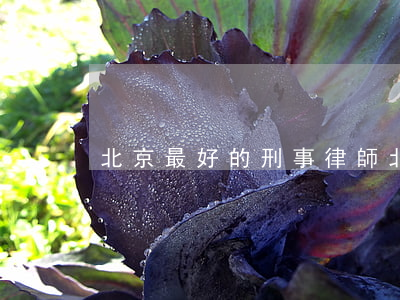 北京最好的刑事律師(北京最好的刑事律師)