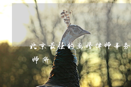 北京最强的离婚律师事务所(北京知名离异律师所)