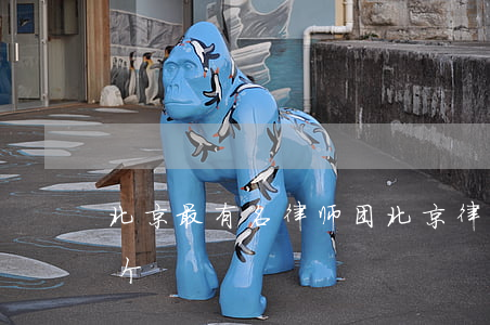 北京最有名律师团(北京律师团最大的是哪一个)