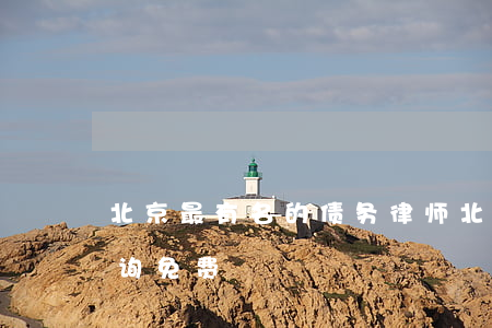 北京最有名的债务律师(北京债务律师在线咨询免费)