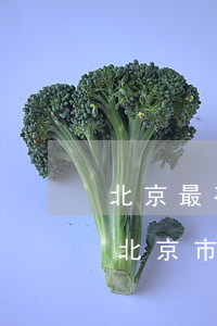 北京最有名的刑事案件律師事務(wù)所(北京市著名刑事案件律師)