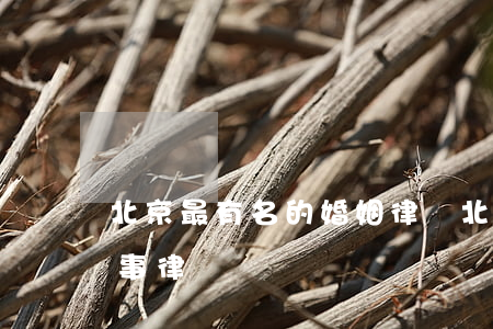 北京最有名的婚姻律師(北京最有名的婚姻家事律師)