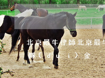 北京最牛律師(北京最牛律師團(tuán)隊(duì)金)