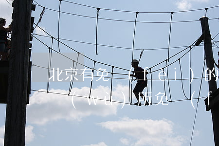 北京有免費(fèi)的律師嗎(北京律師事務(wù)所免費(fèi)咨詢)