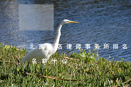 北京有名律师事务所排名(北京律师事务所排名前十位)