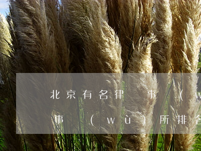 北京有名律師事務(wù)所排名(北京律師事務(wù)所排名前十位)