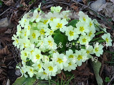 北京有名的刑事律师事务所的(北京有名的刑事律师事务所的)