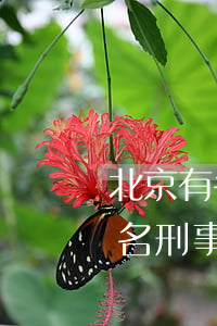 北京有名的刑事律師事務(wù)所(北京知名刑事大律師)