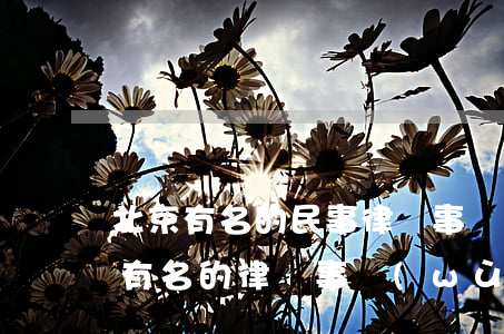北京有名的民事律師事務(wù)所(北京有有名的律師事務(wù)所)