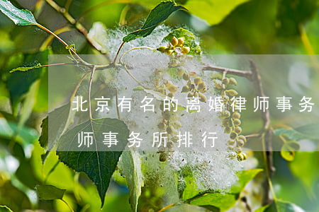 北京有名的离婚律师事务所排名(北京哪些律师事务所排行)
