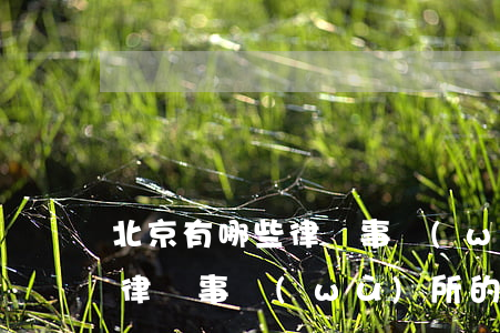 北京有哪些律師事務(wù)所(北京有哪些律師事務(wù)所的)