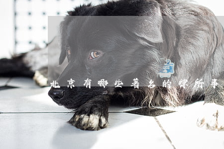 北京有哪些著名的律所事务所