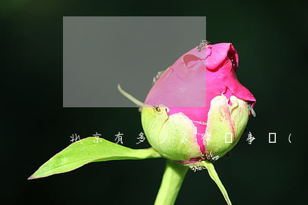 北京有多少家律師事務(wù)所