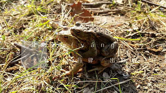 北京朝陽(yáng)債務(wù)案執(zhí)行律師出庭收費(fèi)-北京朝陽(yáng)債務(wù)案執(zhí)行律師出庭收費(fèi)多少