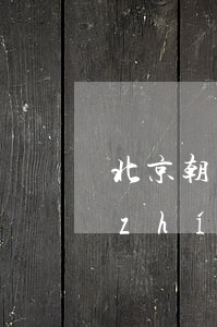 北京朝陽(yáng)債務(wù)案執(zhí)行律師咨詢熱線-北京朝陽(yáng)債務(wù)案執(zhí)行律師咨詢熱線電話