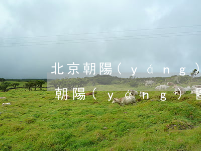北京朝陽(yáng)區(qū)律師(北京朝陽(yáng)區(qū)律師事務(wù)所免費(fèi)咨詢)
