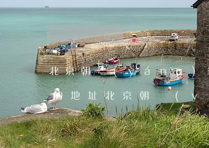 北京朝陽(yáng)律師事務(wù)所的地址(北京朝陽(yáng)哪里有律師事務(wù)所)