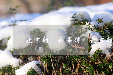 北京朝陽刑事律師(北京朝陽個人律師)