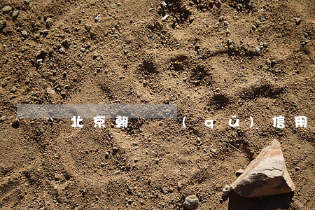 北京朝陽區(qū)信用卡逾期