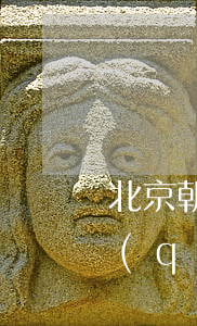北京朝陽區(qū)哪個律師(北京市朝陽區(qū)的律師事務(wù)所)