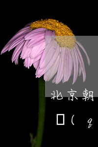 北京朝陽區(qū)哪里有律師(北京市朝陽區(qū)的律師事務(wù)所)
