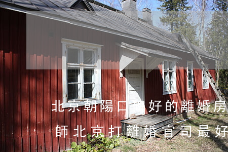 北京朝陽口碑好的離婚房產(chǎn)律師(北京打離婚官司最好的律師)