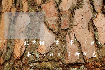 北京朝陽律師事務(wù)所排行(朝陽律師事務(wù)所排名)