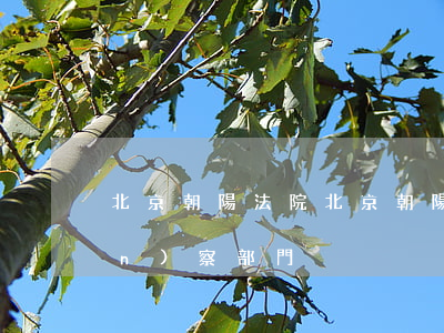 北京朝陽法院(北京朝陽法院紀檢監(jiān)察部門)