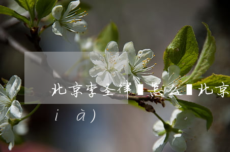 北京李圣律師怎么樣(北京李圣律師評價(jià))