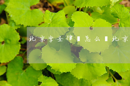 北京李圣律師怎么樣(北京法律知名律師)
