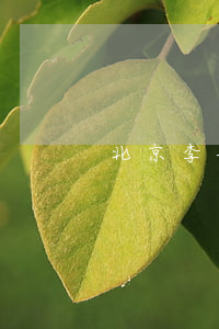 北京李圣敬律師