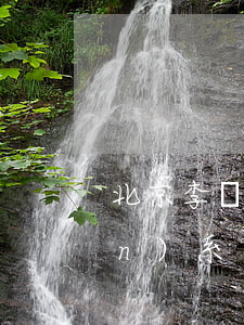北京李揚(yáng)律師怎么聯(lián)系