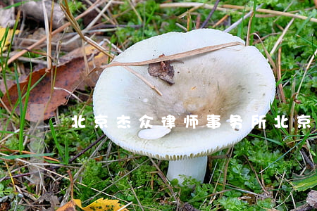 北京杰众律师事务所(北京杰通律师事务所)