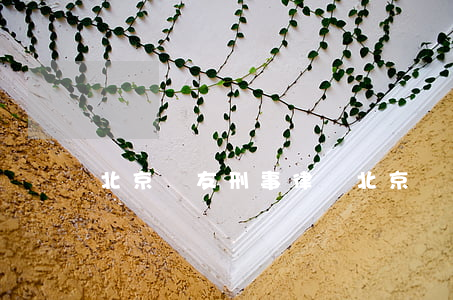 北京東友刑事律師(北京東合律師事務所)