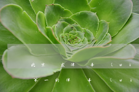 北京東友律師事務(wù)所排名(北京排名第一的律師事務(wù)所)