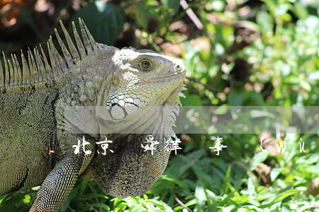 北京東舜律師事務(wù)所怎么樣
