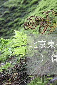 北京東衛(wèi)城起訴(北京東衛(wèi)律師事務(wù)所打過(guò)哪些知名)